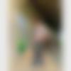 Matrimony Male Profile Punjab