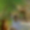 Single Male - Jasraj