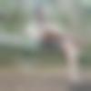 Tanda Male Photo - Shubham