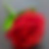 Female Photo - Afreen