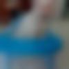 Female Photo - Zeenat