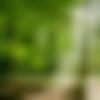 Female Photo - Tanupriya