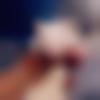 woman seeking men Dombivli near me photo - Joti