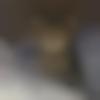 Single Female - Shagufta
