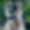 Single Female - Arya