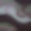 woman seeking men Bandikui near me photo - Rakhi