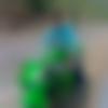 Matrimony Male Profile Himachal Pradesh