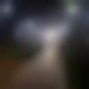 Single Male - Mohamednivasand
