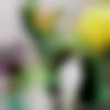 Female Photo - Rishu