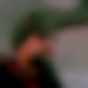 Male Photo - Vijay