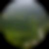 Male Photo - Mohit