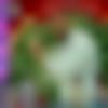 Male Photo - Mahendrababu