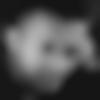 Male Photo - Cullboy