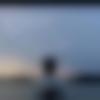 Single Male - Rbk