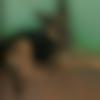 Single Female - Aaru