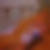 Matrimony Female Profile Gujarat