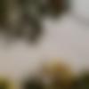 woman seeking men Assandh near me photo - Rukshar