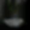 Matrimony Male Profile Hisar