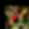 woman seeking men Ratia near me photo - Shreya