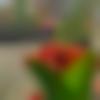 woman seeking men Petlad near me photo - Beena