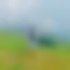 Single Male - Chaudhary