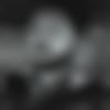 Male Photo - Rohit