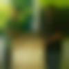 Sathyamangalam Male Photo - Saravana