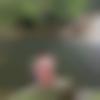 Marathi Dating Male - Sanjo