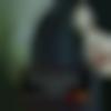 woman seeking men Mangalwedha near me photo - Khushi