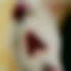 woman seeking men Koderma near me photo - Sa