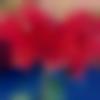 Single Female - Ananthi