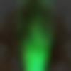Mon Male, photo - Jiva