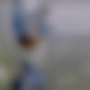 Dahod Male Photo - Dreamyss