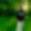 Male Photo - Punit