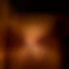 Male Photo - Roney