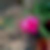 woman seeking men Devakottai near me photo - Rumpi
