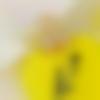 woman seeking men Mukerian near me photo - Anaya