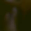 woman seeking men Manuguru near me photo - Simran