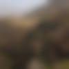 woman seeking men Bhatkal near me photo - Neethu