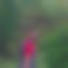 Single Male - Jithin