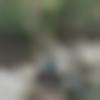 Orai Male Photo - Saksham