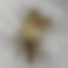 Female Photo - Angel