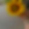 woman seeking men Naraingarh near me photo - Gurmeet