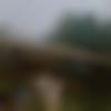 woman seeking men Namchi near me photo - Kritika
