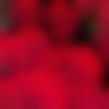 woman seeking men Ulhasnagar near me photo - Ekta