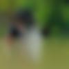 woman seeking men Tuljapur near me photo - Sree