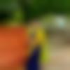 woman seeking men Roha near me photo - Isha