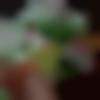 woman seeking men Kangayam near me photo - Riya