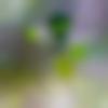 woman seeking men Renukoot near me photo - Suma