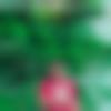 Vizianagaram Male Photo - Charan